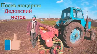 Посев люцерны с ячменем. Будет корм ...