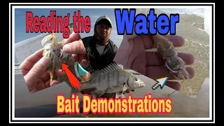 ZLF Fishing for white Steenbras! How to bait, rig up and read the water for white Steenbras!