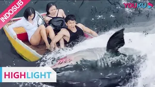 Highlight (Huge Shark) Anak remaja pergi libuaran ke laut ketemu Hiu | YOUKU [INDO SUB]