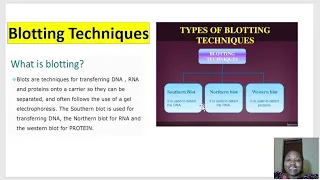 Immunological Techniques 2 #biotechnology #immunology