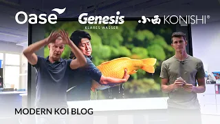 Modern Koi Blog #5420 - Muss Teich und Filter zwingend belüftet werden?