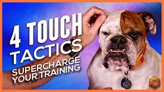 How to Pet Your Dog for Max Reinforcement! 4 Touch Tactics to Supercharge Training