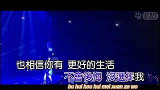 Liu Zhe - Bi Jing Shen Ai Guo (Official Karaoke Video)