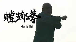 Mantis Fist | 螳螂拳：习武树人 勇往直前