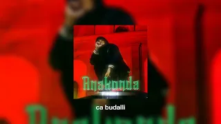 finem-anakonda (speed up)🎶🤌