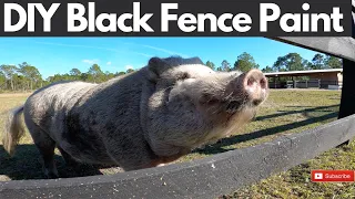 Black Fence Paint DIY and Review