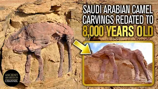 NEWS: Huge Saudi Arabian Camel Carvings Redated to 8,000 Years Old | Ancient Architects