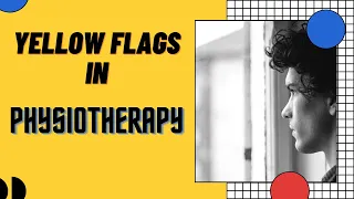 YELLOW FLAGS IN PHYSIOTHERAPY | Physiotherapy Insider