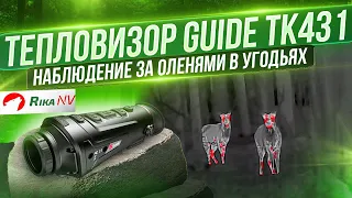 Guide TK431 - наблюдение за оленями в угодьях!