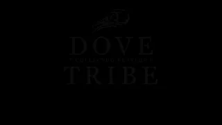 Dove Tribe - When The Music`s Over