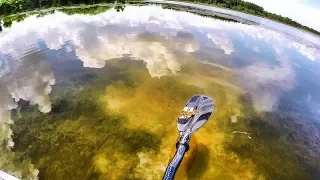 Fishing Bluegill Beds In Clear Water - BIG Bluegill!