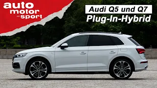 Audi Q5 und Q7 als Plug-In-Hybrid: Die Alternative zum Diesel-SUV? | auto motor und sport