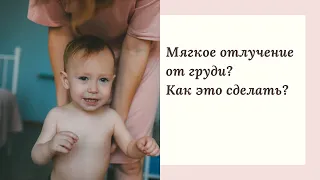 Мягкое отлучение от ГВ, как это сделать?