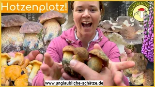 Pilze suchen mit Räuber Hotzenplotz! Pilze suchen im Mai 2024