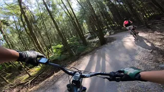 Cannock Chase - Perry's Trail (BLUE)