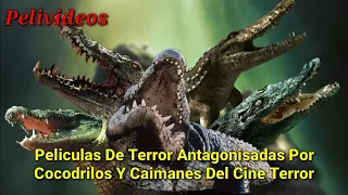 Peliculas De Terror Con Cocodrilos Y Caimanes Asesinos | Pelivideos Oficial