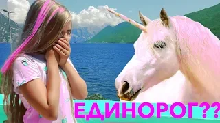 НАСТОЯЩИЙ ЕДИНОРОГ ??🌈  НОВЫЙ ПИТОМЕЦ - Видео про ЕДИНОРОГА И .. !!! Видео для детей