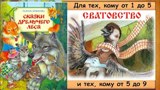 СПОР.  СВАТОВСТВО.  (Т.Крюкова.  Сказки дремучего леса) - читает бабушка Лида