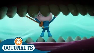 #StayHome Octonauts - Down the Hatch | Compilation | Cartoons for Kids