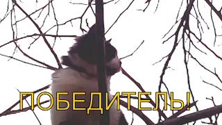 ПОБЕДИТЕЛЬ!