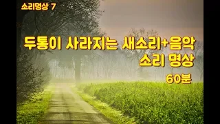 명상음악- 7  "머리가 맑아지는 새소리+음악, 소리 명상 –60분