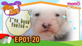 EP01-20 Happy Birthday! Alpha Has Been Born!｜Journal of Dog｜Full Version｜momokids