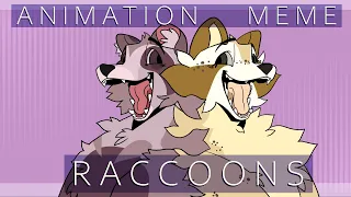 RACCOONS {Animation Meme}