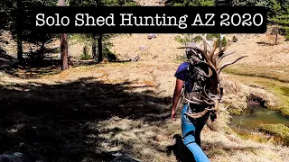 Solo Shed Hunting Arizona 2020