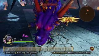 Dragon Quest Heroes™ II: The bullshit of Dread Dragonlord