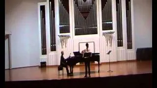Niccolò Valerio - J. Sibelius Violin Concerto (arr. by Denis Bouriakov) I. Allegro moderato