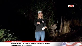 Lion Walks Through A Reporters Live Broadcast She Mistakes For Dog Not Knowing It's A Mountain Lion!