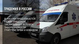 Тридемия в России