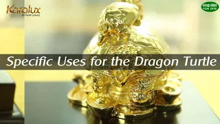 How to use the Dragon Turtle in Feng Shui to attract the fortune for your family