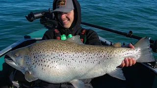 MASSIVE Milwaukee Harbor Brown Trout! (20+ fish day) INSANE!!