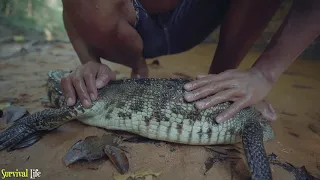 Viral Video Survival 2021 - Catch n Found Big Fish in Crocodile Stomach then Cooking Eating Deliciou