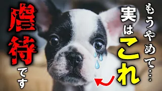 犬のしつけで絶対にしてダメなこと20選