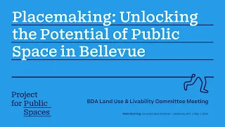 Placemaking: Unlocking the Potential of Public Space in Bellevue | Project for Public Spaces (PPS)