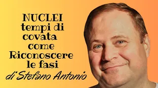 Nuclei e tempistiche della covata.Apicultura semplice come capire quando farli !!!