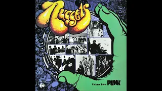 The SONICS – Strychnine – from NUGGETS Volume Two: PUNK – 1984 – Vinyl