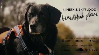 NineFX & Skyflood - Beautiful Place (Official Music Video)