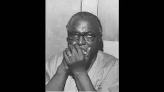 Sonny Terry - Harmonica Train