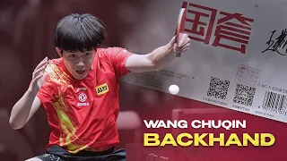 DHS HURRICANE 3 PLAYER EDITION (WANG CHUQIN BACKHAND)