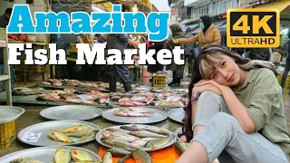 4k 30fps Browsing in the local fish market  |해산물 요리는 정말 최고예요 | There are no Chinese fish here