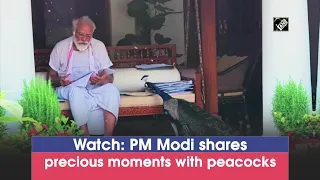 Watch: PM Modi shares precious moments with peacocks