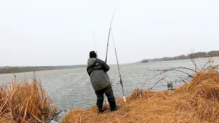 The Most EPIC Catfish Bite from the BANK!! (300+ pounds)