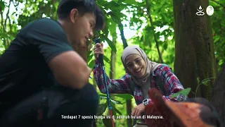 Rafflesia of Pahang, Malaysia