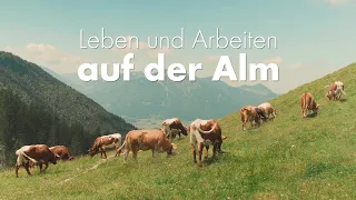 Leben und Arbeiten auf der Alm | PATURA Weidezaun im Gebirge