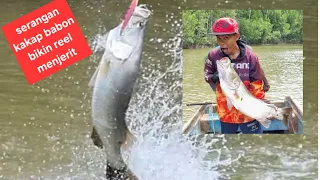 Casting kakap putih dipedalaman papua-Timika #casting #kakapputih #baramundi #fishing #papua