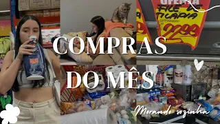 COMPRAS DO MÊS MORANDO SOZINHA | Quanto gastei ?? 🤨| Estava praticamente sem nada 🛒🥕🍠