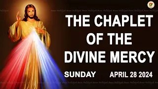 Chaplet of the Divine Mercy I Sunday April 28 2024 I Divine Mercy Prayer I 12.00 PM